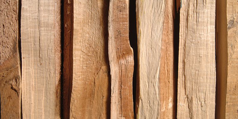 Demobild - scheitholz_800x400